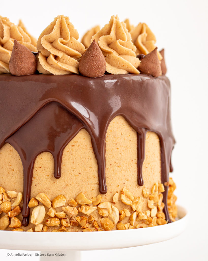 gluten free chocolate peanut butter cake