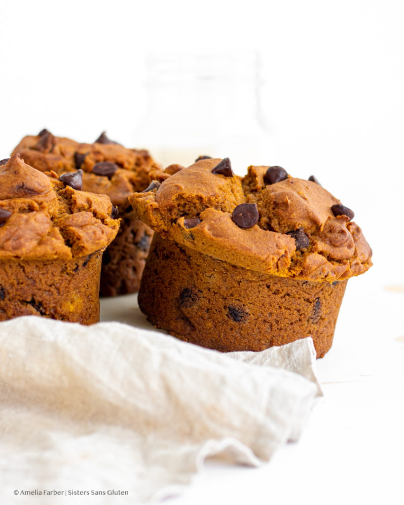 gluten free pumpkin chocolate chip muffins